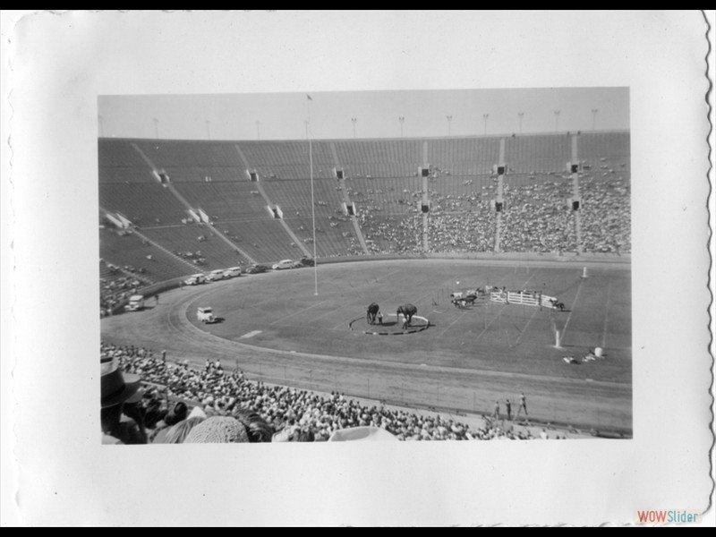 1942-8 052 Exposition Park Coliseum LA Calif. Rodeo