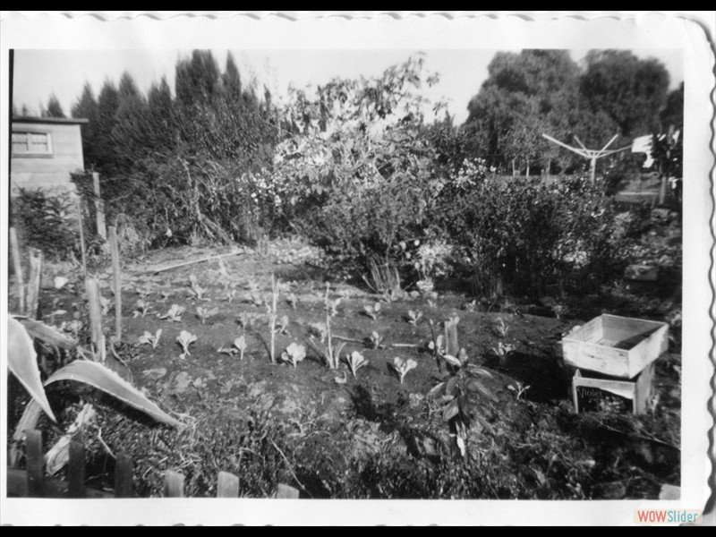 1942 California - Garden